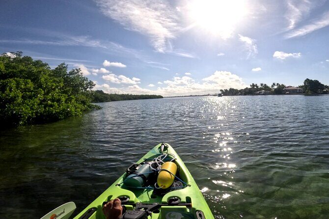 Mangrove Tunnels Pedal Kayak Eco-Tour in Anna Maria - How the Tour Works: What to Expect