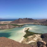 Mangroves & Beaches: Hiking Tour of Balandra, La Paz - Who Is This Tour Best For?