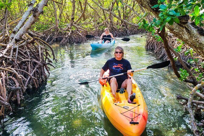 Mangroves, Manatees, and a Hidden Beach: Kayak Tour - Who This Tour is Best For