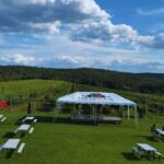 Manhattan: Millbrook Vineyards & Winery Private Tour - The Vineyard Experience