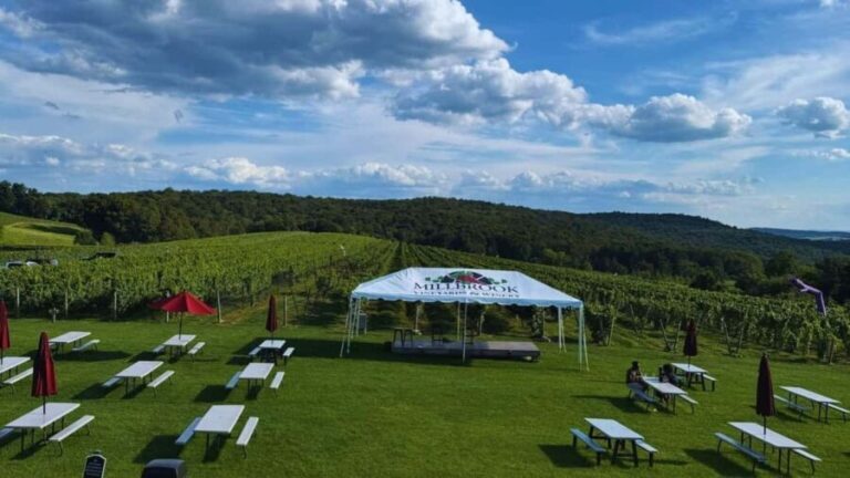 Manhattan: Millbrook Vineyards & Winery Private Tour - The Vineyard Experience