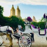 Manhattan: VIP Private Horse Carriage Ride in Central Park - Considering the Price and Value