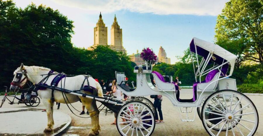 Manhattan: VIP Private Horse Carriage Ride in Central Park - Considering the Price and Value