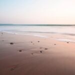 Manialtepec Lagoon from Puerto Escondido - Who Is This Tour Best For?