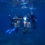 Manly: Beginner Freediving: Breath-Hold & Ocean Exploration - The Experience’s Highlights and Unique Features