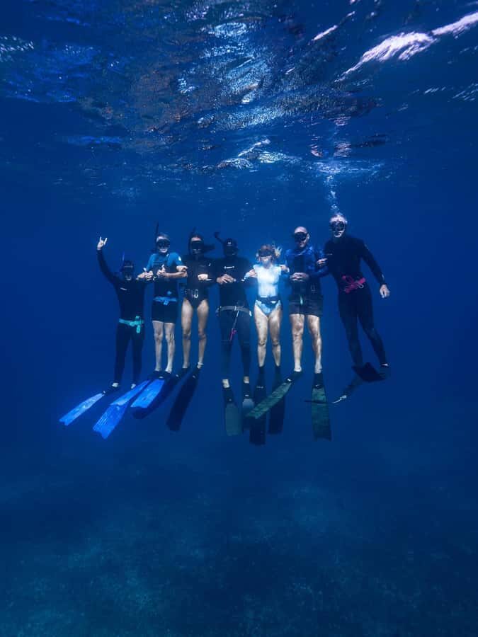 Manly: Beginner Freediving: Breath-Hold & Ocean Exploration - The Experience’s Highlights and Unique Features