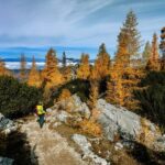 Manning Park: The Quest for the Golden Larch Tree - What’s Included and What to Expect