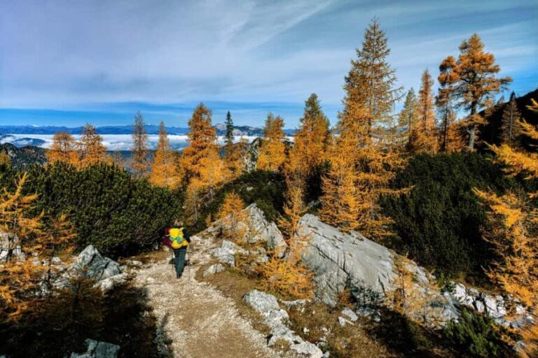 Manning Park: The Quest for the Golden Larch Tree - What’s Included and What to Expect