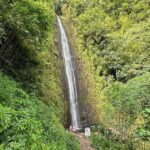 Manoa Falls-Electric Bike to Hike Experience Local meal included - Is It Worth the Price?