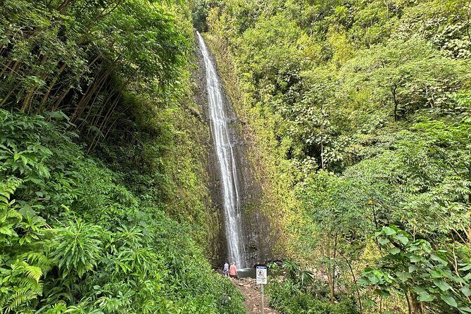 Manoa Falls-Electric Bike to Hike Experience Local meal included - Is It Worth the Price?