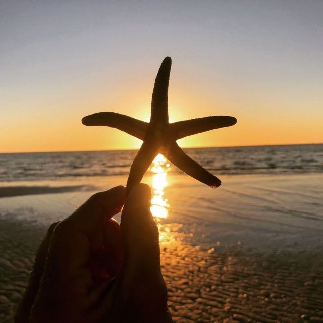 Marco Island: 2 Private Hour Sunset Boat Tour - Final Thoughts