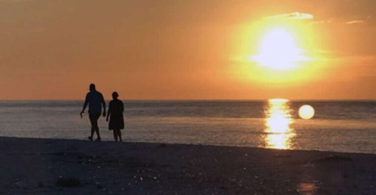 Marco Island: Sunset Boat Tour - The Scenic and Wildlife Highlights