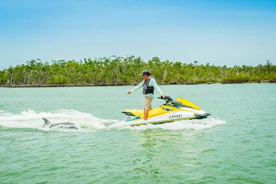Marco Island: Ten Thousand Island Jet Ski Guided Tour - What You Need to Know Before Booking