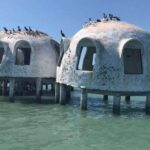Marco Island: Ten Thousand Islands Shelling & Dolphin Tour - How the Experience Comes Together
