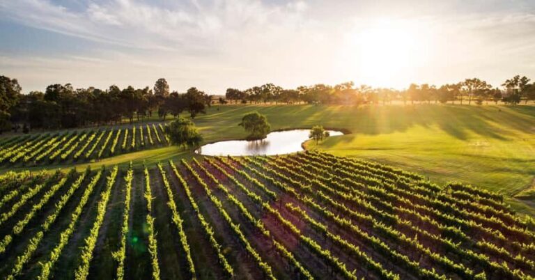 Margaret River, Chocolate, Wine & Coast Day Trip from Perth - What Travelers Are Saying