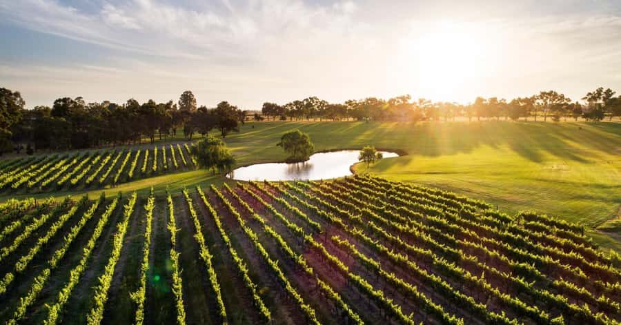 Margaret River, Chocolate, Wine & Coast Day Trip from Perth - What Travelers Are Saying