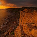 Margaret River Indulge and Discover Day Tour - Why This Tour Works