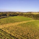 Margaret River: Leeuwin Estate Winery Art and Wine Tasting - Who Should Consider This Tour?