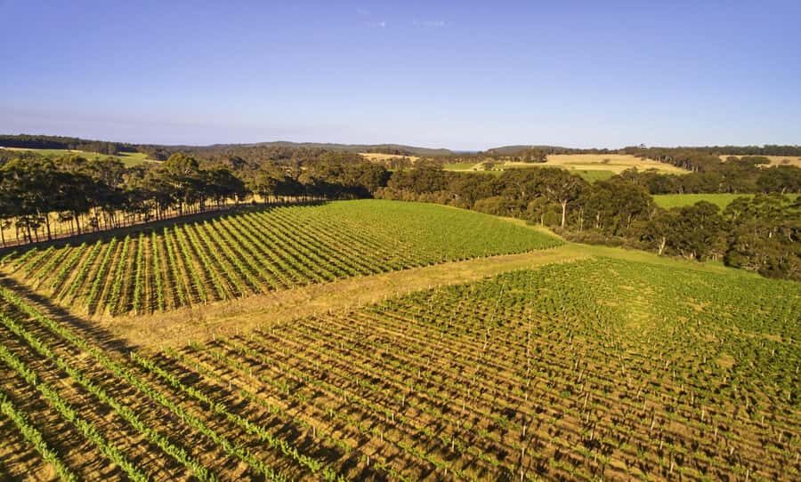 Margaret River: Leeuwin Estate Winery Art and Wine Tasting - Who Should Consider This Tour?