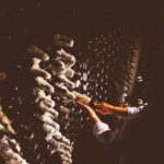 Margaret River Wines: Taste the Iconic Wines of Howard Park - The Experience Itself: The Good, the Not-So-Good, and the Details