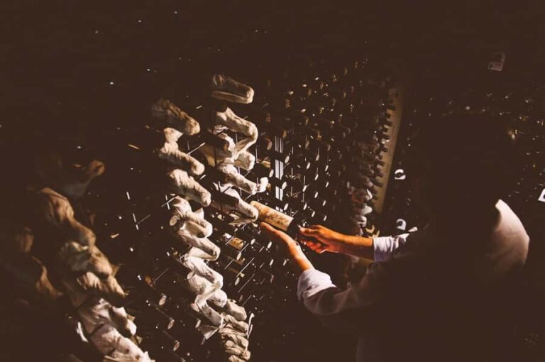 Margaret River Wines: Taste the Iconic Wines of Howard Park - The Experience Itself: The Good, the Not-So-Good, and the Details