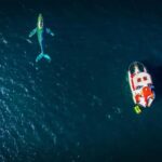 Marietas Islands Boat Tour: Snorkel, Kayak, Playa Nopalera - What Do the Reviews Say?