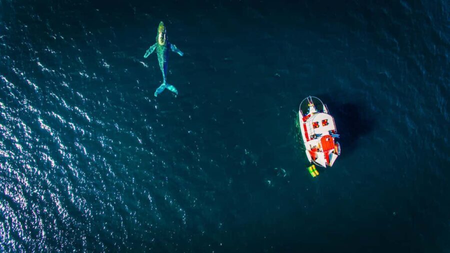Marietas Islands Boat Tour: Snorkel, Kayak, Playa Nopalera - What Do the Reviews Say?