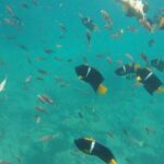 Marietas Islands PRIVATE for 2 px hidden beach 100% GUARANTEED - Who Is This Tour Best For?