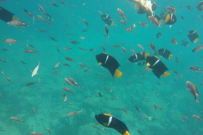 Marietas Islands PRIVATE for 2 px hidden beach 100% GUARANTEED - Who Is This Tour Best For?