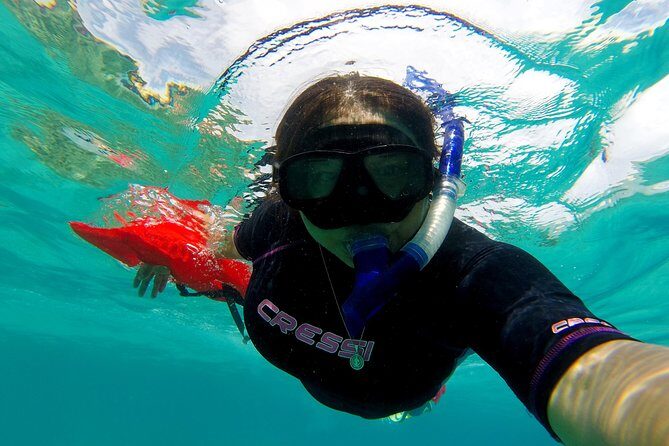 Marietas Islands snorkeling & Hidden beach (w/ restrictions) - An In-Depth Look at the Tour