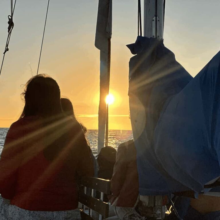 Marina del Rey: 1-Hour Boat Tour - The Experience Itself