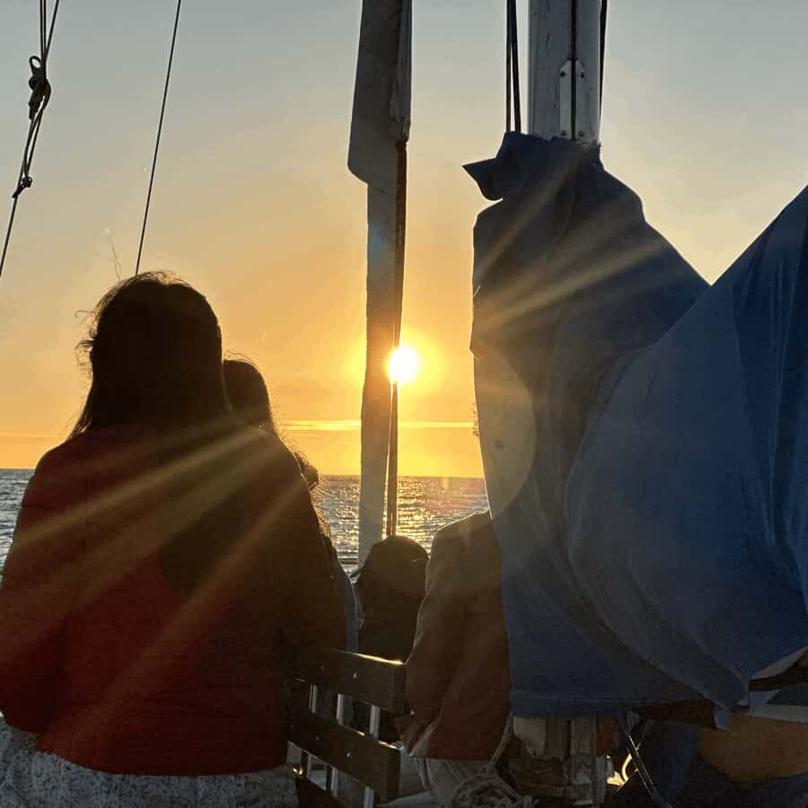 Marina del Rey: 1-Hour Boat Tour - The Experience Itself