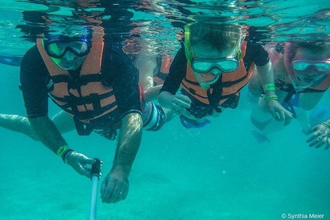 Marine Turtle Snorkeling Private Tour - What to Expect from the Tour