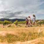 Marlborough Afternoon Wine Tour with Tastings - Who Should Consider This Tour?