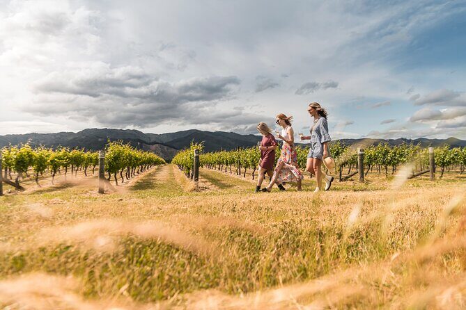 Marlborough Afternoon Wine Tour with Tastings - Who Should Consider This Tour?