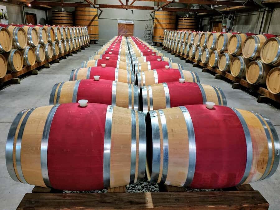 Marlborough: Half Day Blenheim Wine Tour - Eating & Sipping - What the Reviews Say