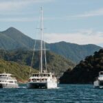Marlborough Sounds Greenshell Mussel Tasting Cruise - Who Will Love This Cruise?