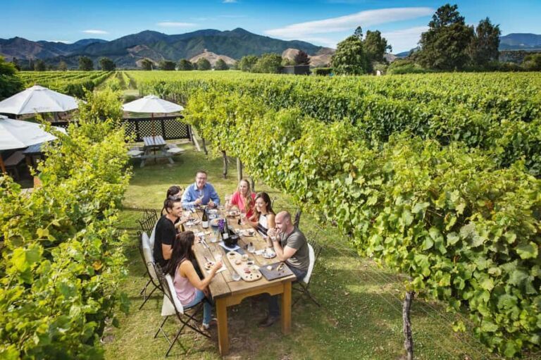 Marlborough Wine Tour: Including Cloudy Bay and Lunch - Who should consider this tour?
