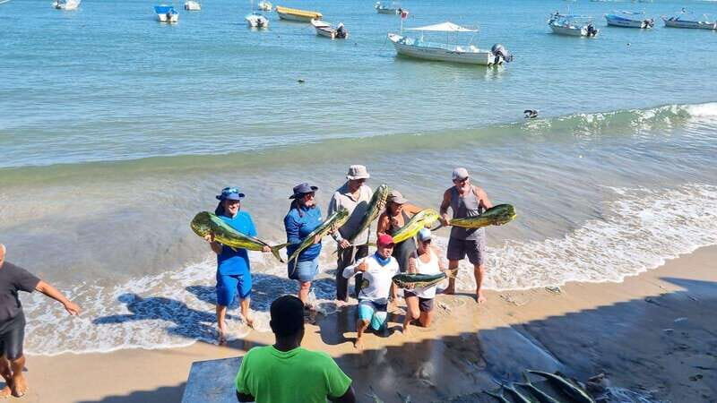 Marlin fishing in guayabitos - Is This Tour for You?