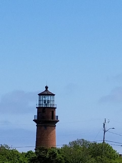 Martha's Vineyard: All Island Tour - Who Should Consider This Tour?