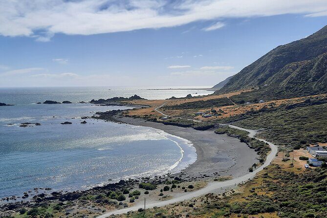 Martinborough Wine and Wild Coast Tour from Wellington - The Realities and Considerations