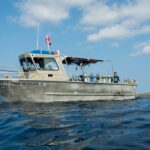 Maui: Beginner Discovery Scuba Dive Excursion from Lahaina - Key Points