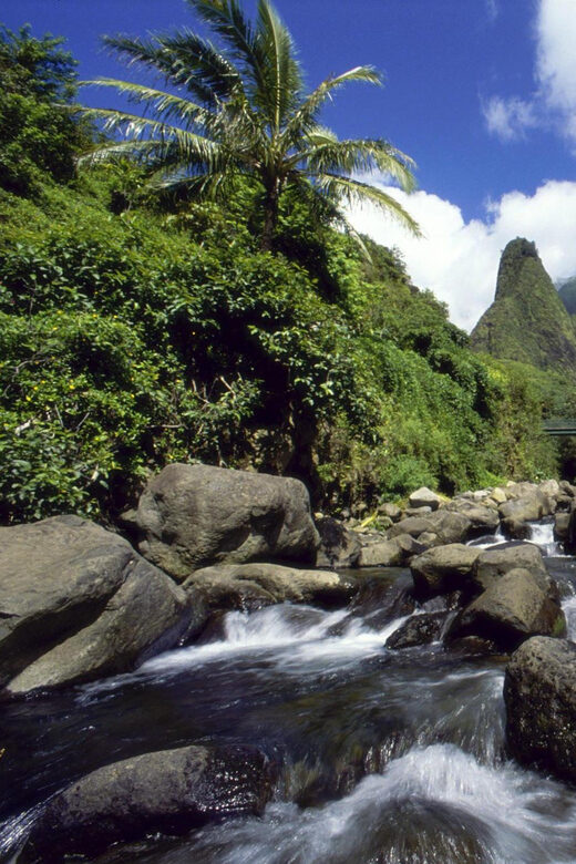 Maui: Custom Elite Tour with Escalade & Meals - How the Tour Compares in Value