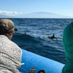 Maui: Eco-Raft Dolphin Watch Tour with Snacks - Final Thoughts