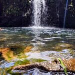 Maui: Halfway to Hana Black Sand Beach & Turtles Tour - FAQ