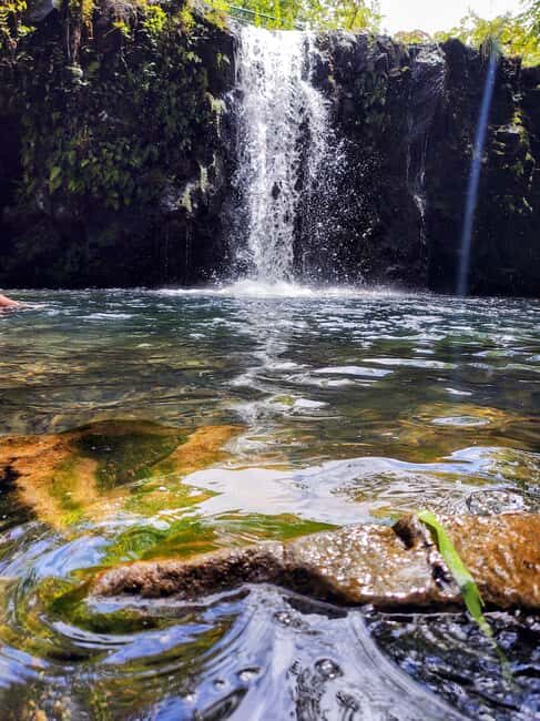 Maui: Halfway to Hana Black Sand Beach & Turtles Tour - FAQ