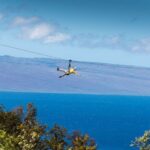 Maui: Ka'anapali 8 Line Zipline Adventure - What to Expect During the Tour