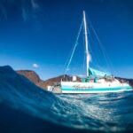 Maui: Kaanapali Dolphin Watching Boat Trip with Lunch - The Good and the Not-So-Good