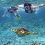 Maui: Molokini Crater and Turtle Town Snorkeling Tour - 3 hr - Who Will Love This Tour?