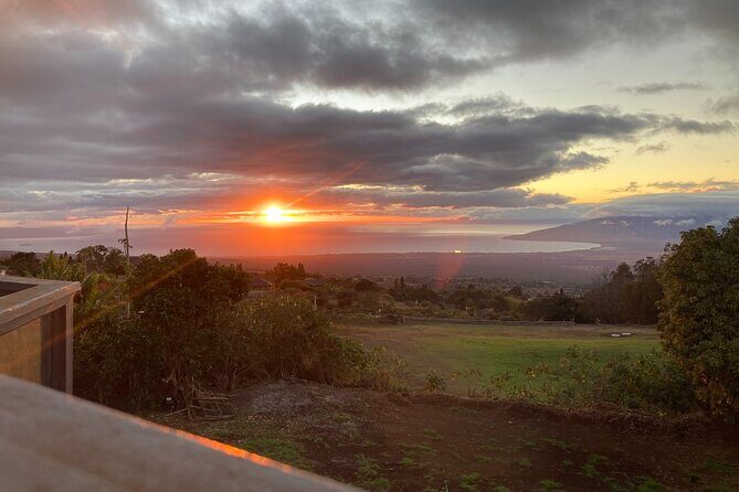 Maui Paint and Sip at Maui Bird House - Key Points